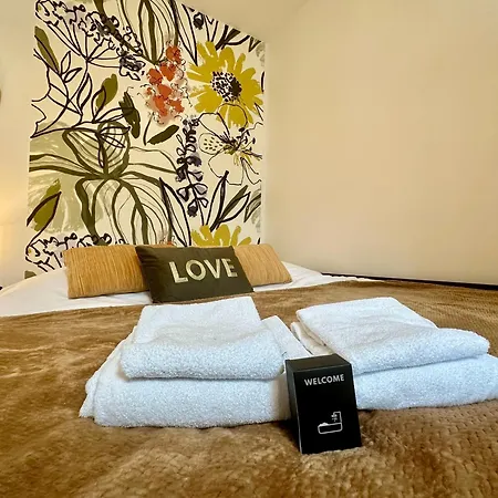 N Flowers Tiercelins Cosy Au Centre Appartamento