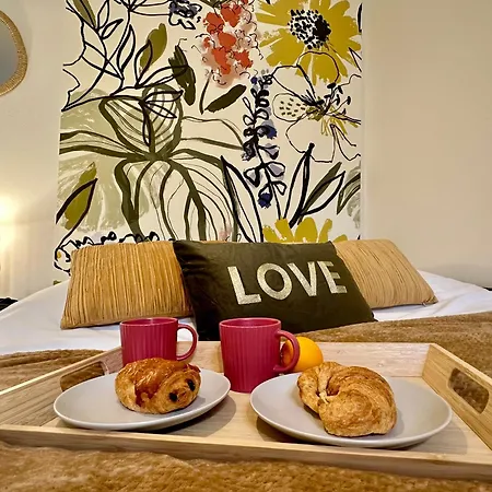 Appartement N Flowers Tiercelins Cosy Au Centre